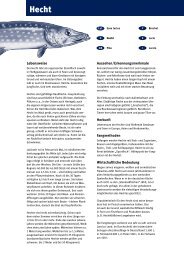 Wissenschaftliche Bezeichnungen (lateinisch) - Fisch